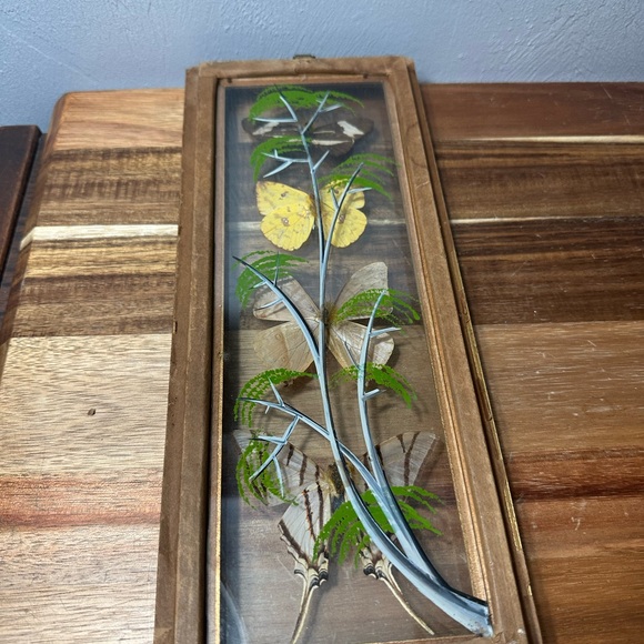 Framed Butterfly Shadowbox - Yellow, Blue, Brown Accents - Picture 9 of 9